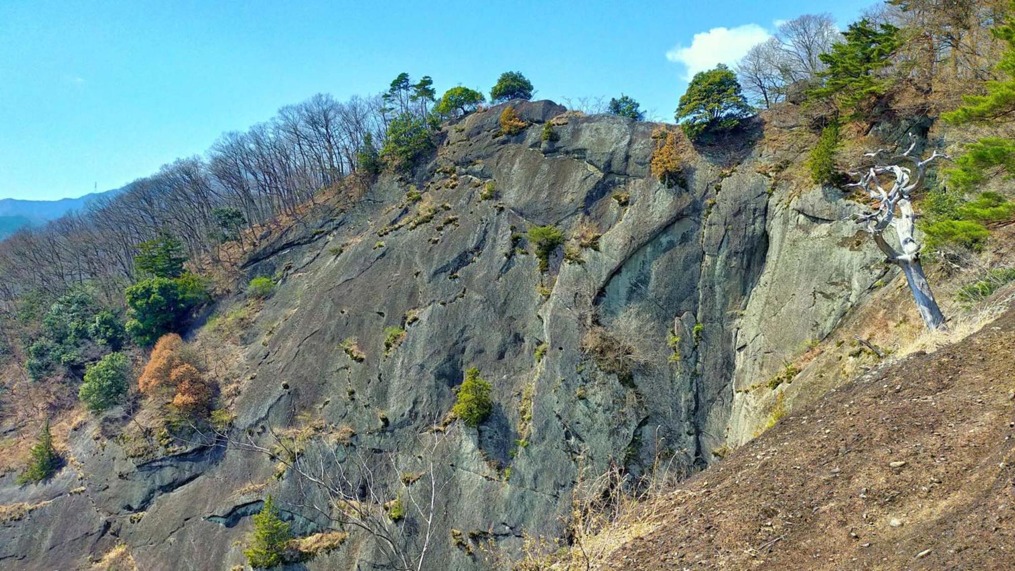 Toyoko Inn Fujisan Otsuki-Eki Otsuki  Exteriér fotografie